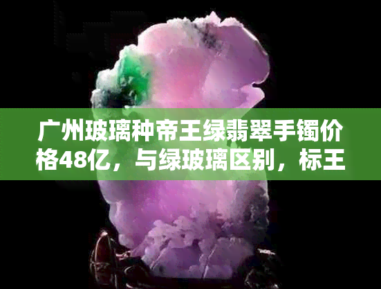 广州玻璃种帝王绿翡翠手镯价格48亿，与绿玻璃区别，标王翡翠吊坠。