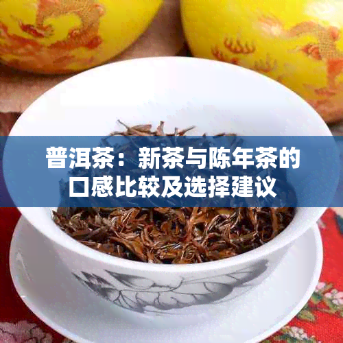 普洱茶：新茶与陈年茶的口感比较及选择建议