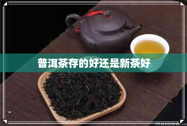 普洱茶存的好还是新茶好