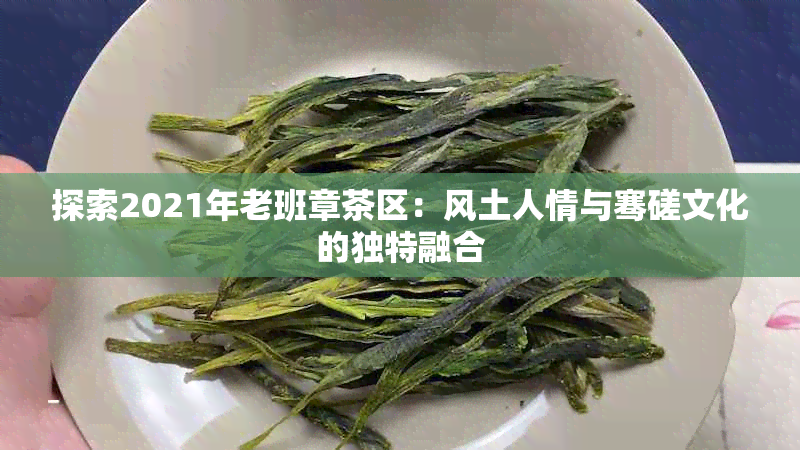 探索2021年老班章茶区：风土人情与骞磋文化的独特融合