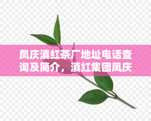 凤庆滇红茶厂地址电话查询及简介，滇红集团凤庆茶厂详细信息