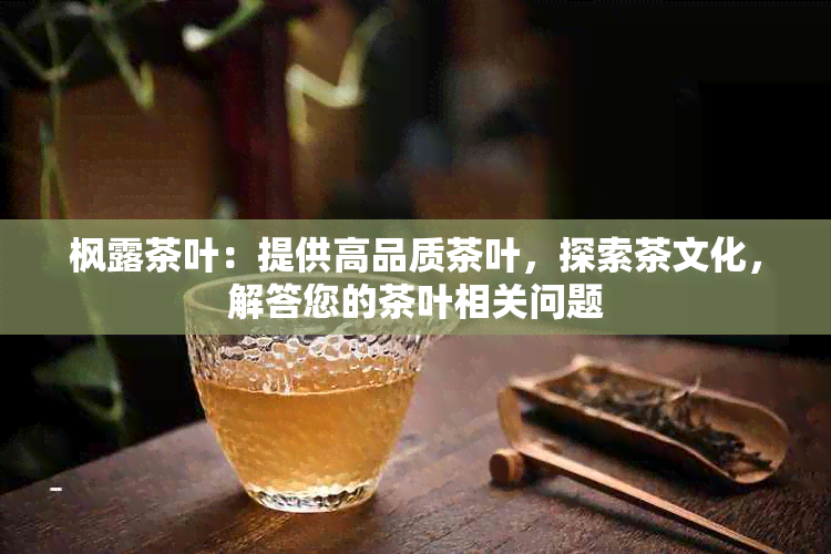 枫露茶叶：提供高品质茶叶，探索茶文化，解答您的茶叶相关问题