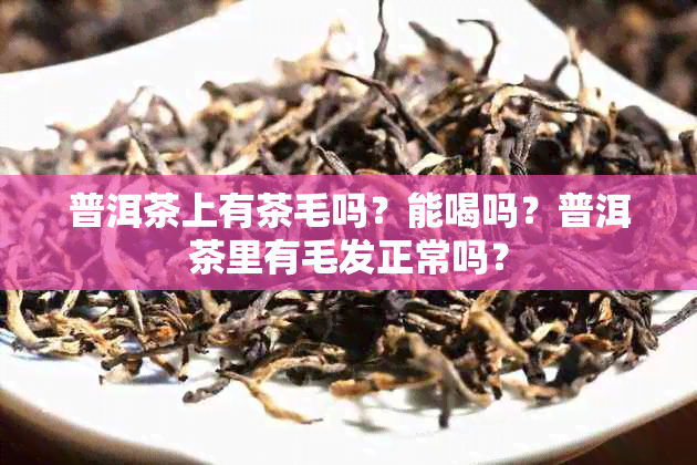 普洱茶上有茶毛吗？能喝吗？普洱茶里有毛发正常吗？