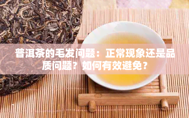 普洱茶的毛发问题：正常现象还是品质问题？如何有效避免？