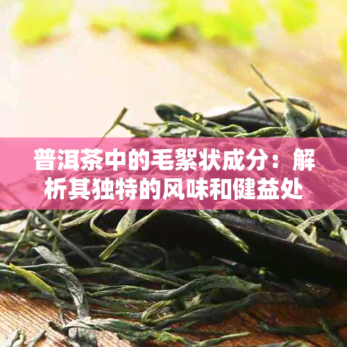 普洱茶中的毛絮状成分：解析其独特的风味和健益处