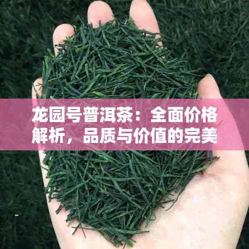 龙园号普洱茶：全面价格解析，品质与价值的完美对标