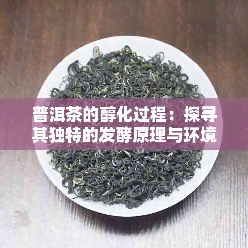 普洱茶的醇化过程：探寻其独特的发酵原理与环境因素影响