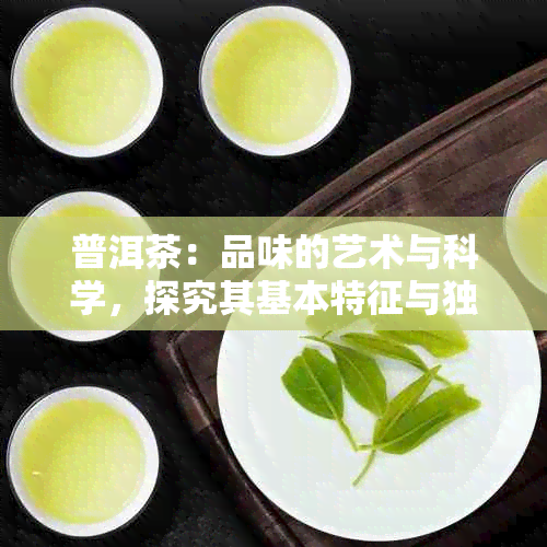 普洱茶：品味的艺术与科学，探究其基本特征与独特魅力