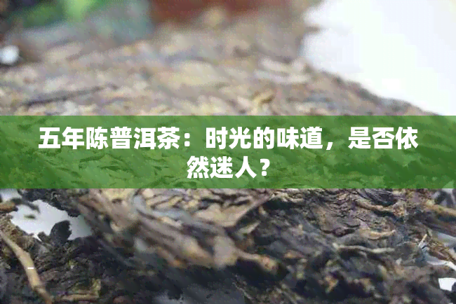 五年陈普洱茶：时光的味道，是否依然迷人？