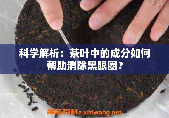 科学解析：茶叶中的成分如何帮助消除黑眼圈？