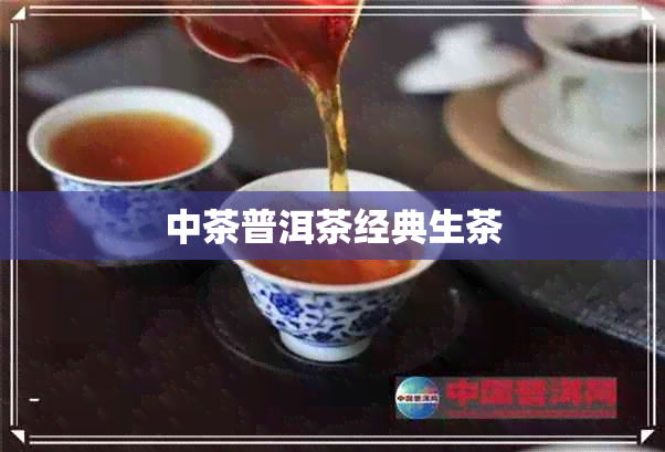 中茶普洱茶经典生茶