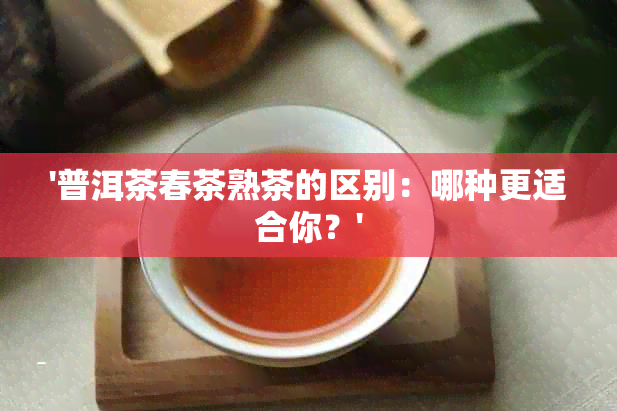 '普洱茶春茶熟茶的区别：哪种更适合你？'