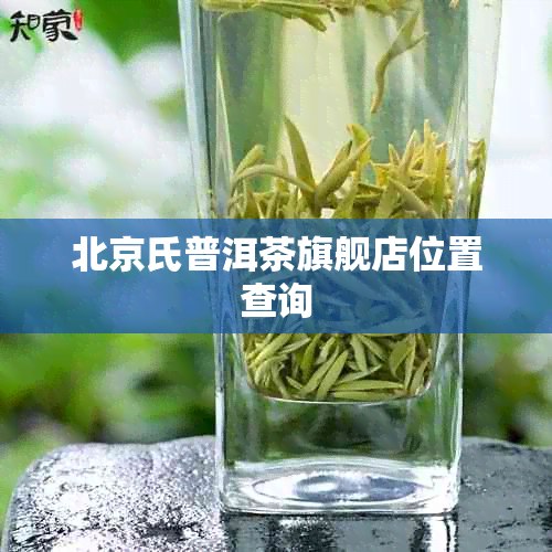 北京氏普洱茶旗舰店位置查询