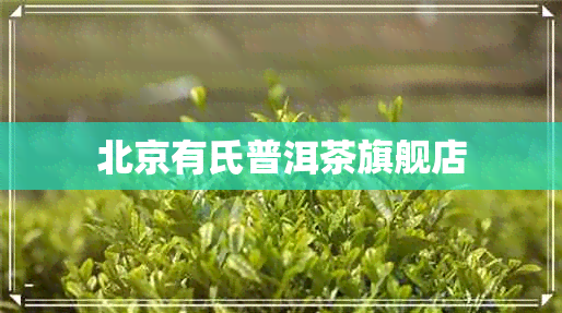 北京有氏普洱茶旗舰店