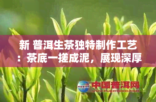 新 普洱生茶独特制作工艺：茶底一搓成泥，展现深厚文化内涵