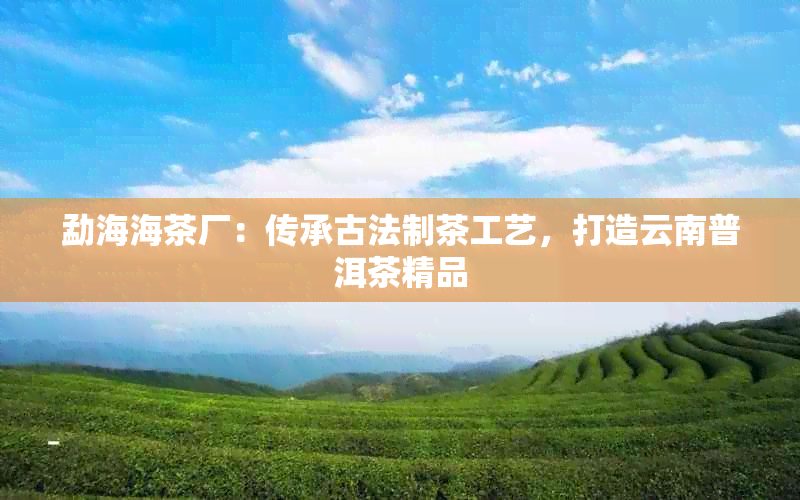 勐海海茶厂：传承古法制茶工艺，打造云南普洱茶精品