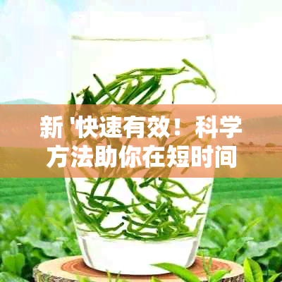 新 '快速有效！科学方法助你在短时间内解除普洱茶的痰润肺'