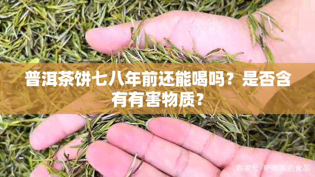 普洱茶饼七八年前还能喝吗？是否含有有害物质？