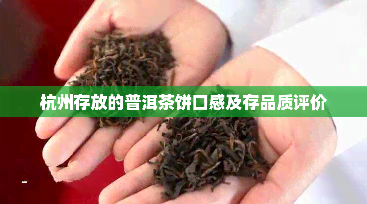 杭州存放的普洱茶饼口感及存品质评价