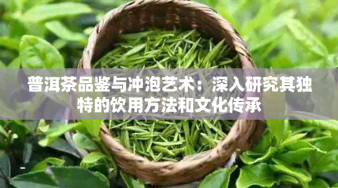 普洱茶品鉴与冲泡艺术：深入研究其独特的饮用方法和文化传承