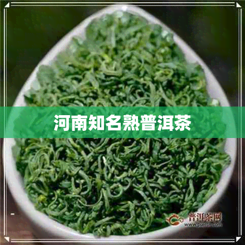 河南知名熟普洱茶