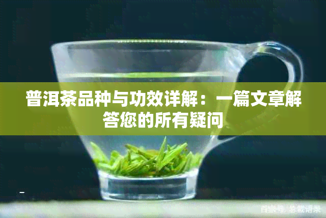 普洱茶品种与功效详解：一篇文章解答您的所有疑问