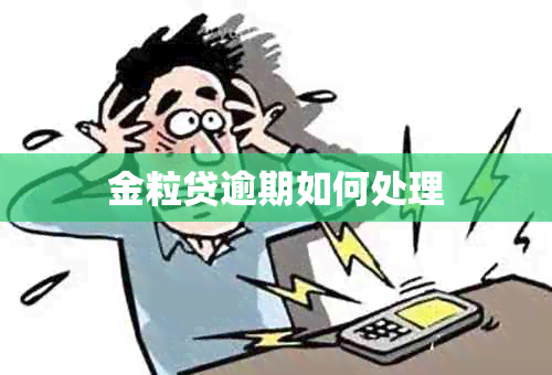 金粒贷逾期如何处理