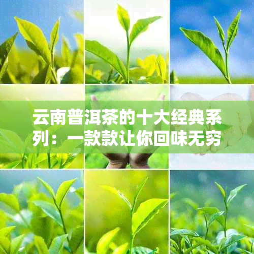 云南普洱茶的十大经典系列：一款款让你回味无穷的茶品宴