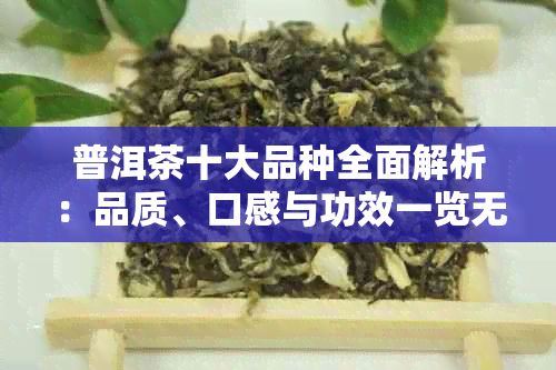 普洱茶十大品种全面解析：品质、口感与功效一览无余，助你轻松选购！