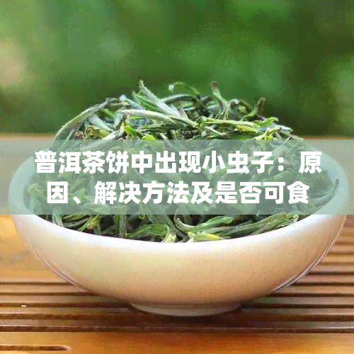 普洱茶饼中出现小虫子：原因、解决方法及是否可食用