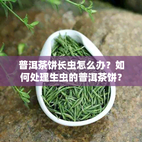 普洱茶饼长虫怎么办？如何处理生虫的普洱茶饼？