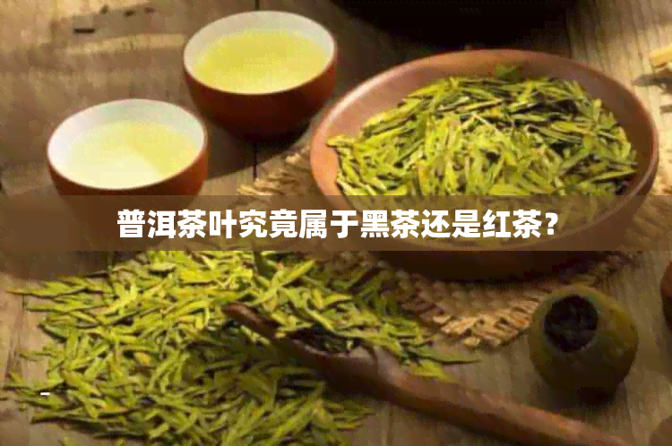 普洱茶叶究竟属于黑茶还是红茶？