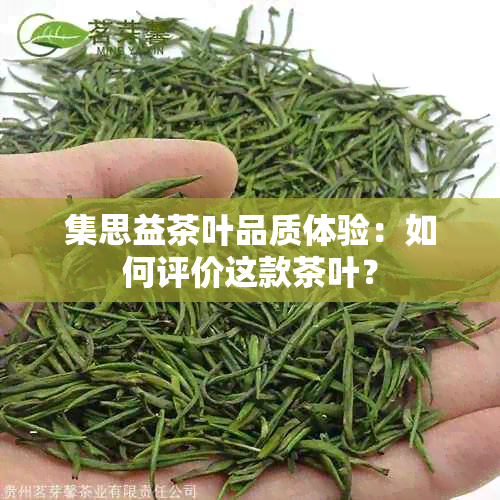 集思益茶叶品质体验：如何评价这款茶叶？