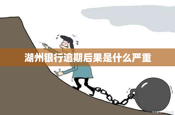 湖州银行逾期后果是什么严重