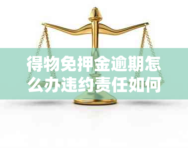 得物免押金逾期怎么办违约责任如何处理