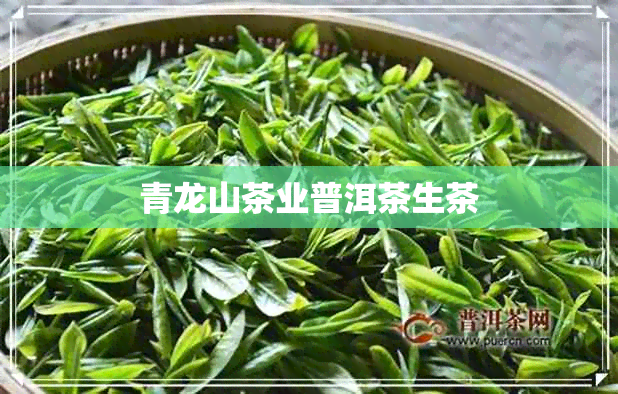 青龙山茶业普洱茶生茶