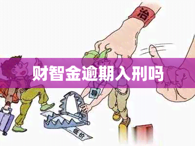 财智金逾期入刑吗