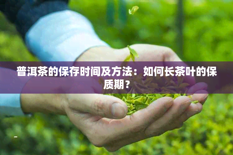 普洱茶的保存时间及方法：如何长茶叶的保质期？