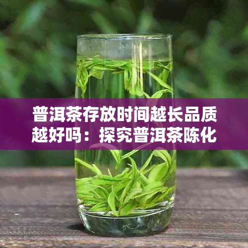 普洱茶存放时间越长品质越好吗：探究普洱茶陈化过程与其品质关系