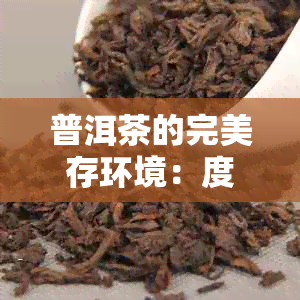 普洱茶的完美存环境：度、湿度与光照的影响