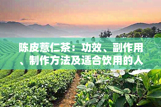 陈皮薏仁茶：功效、副作用、制作方法及适合饮用的人群详解