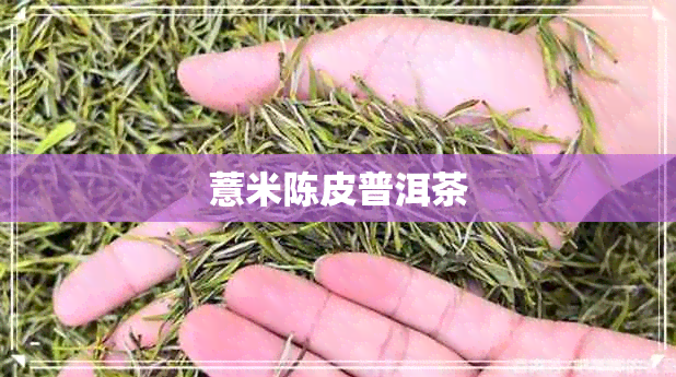 薏米陈皮普洱茶