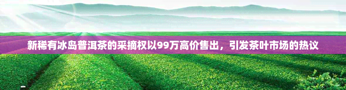 新稀有冰岛普洱茶的采摘权以99万高价售出，引发茶叶市场的热议