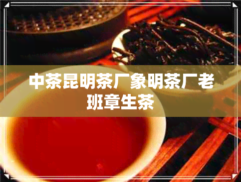 中茶昆明茶厂象明茶厂老班章生茶