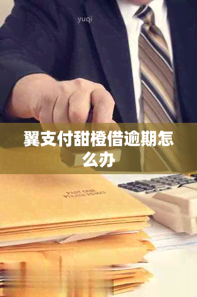 翼支付甜橙借逾期怎么办