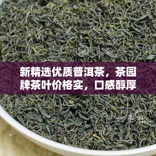 新精选优质普洱茶，茶园牌茶叶价格实，口感醇厚，品质保证