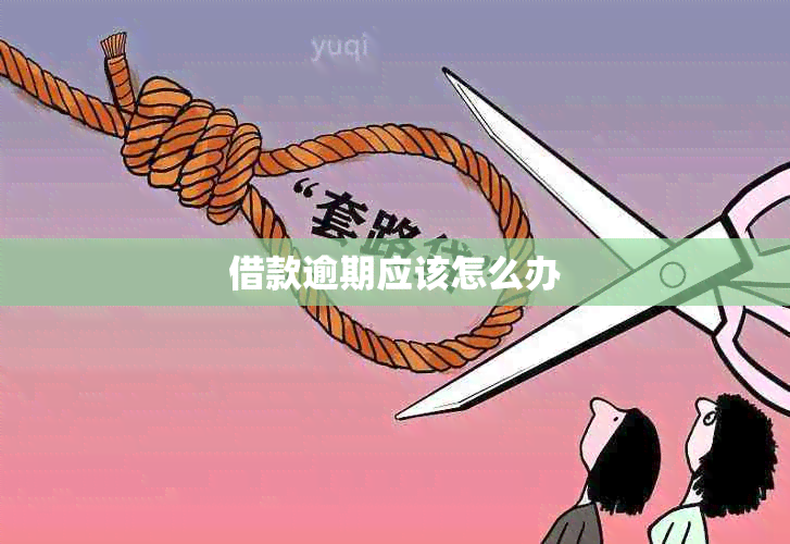 借款逾期应该怎么办