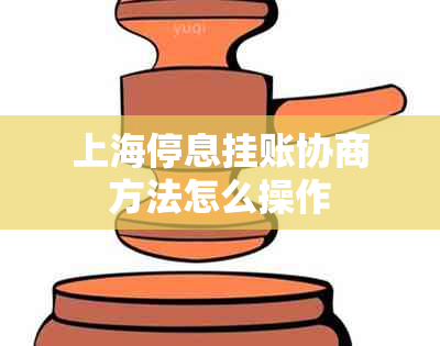 上海停息挂账协商方法怎么操作