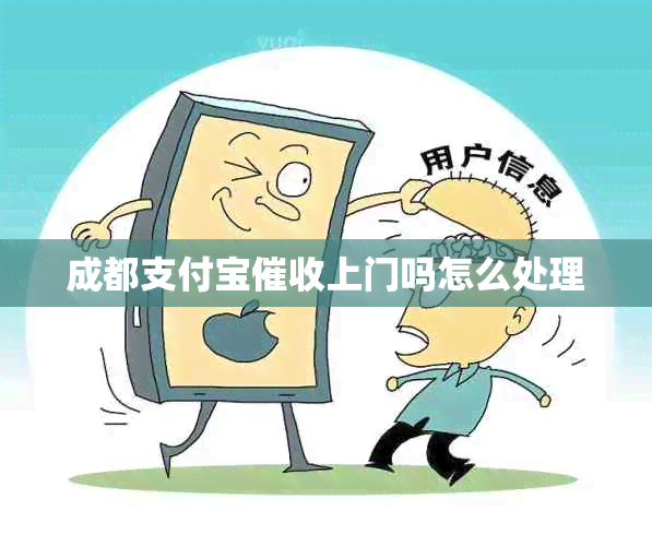 成都支付宝上门吗怎么处理