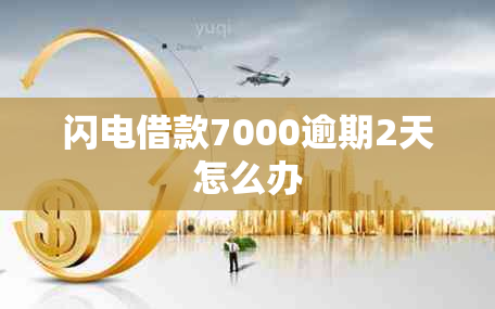 闪电借款7000逾期2天怎么办